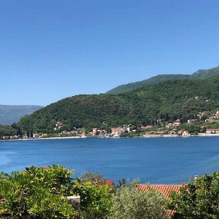 Apartments Todorovic Tivat Eksteriør bilde