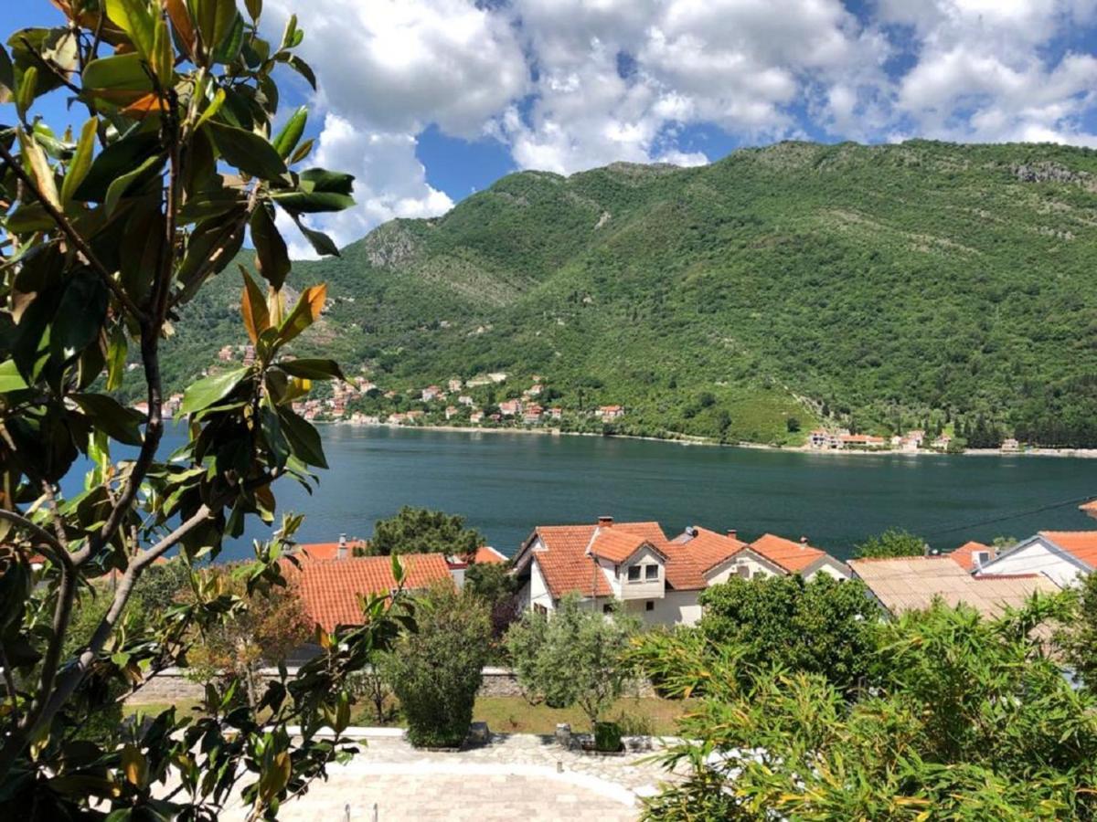 Apartments Todorovic Tivat Eksteriør bilde