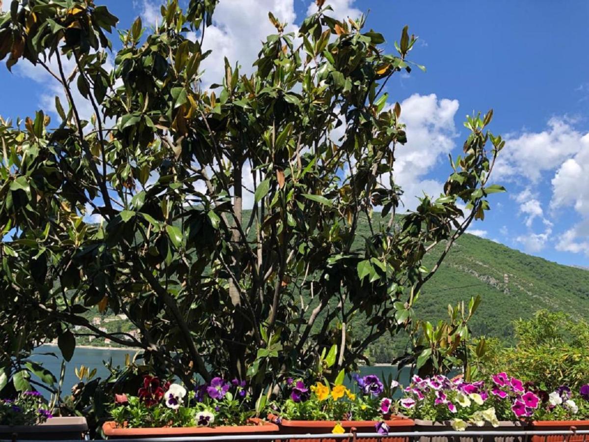 Apartments Todorovic Tivat Eksteriør bilde