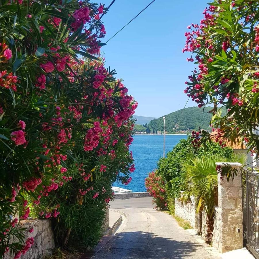 Apartments Todorovic Tivat Eksteriør bilde